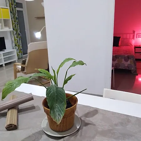 Guest house Pension Cadiz Cadiz